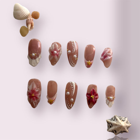 Seashell Wonder